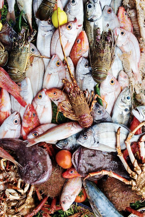 Nos services de pêche